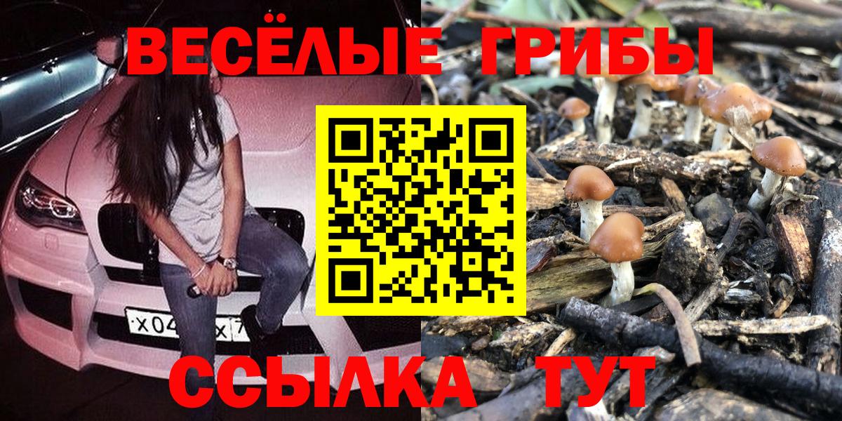 Псилоцибиновые грибы Magic Shrooms  Вход с VPN  Псилоцибиновые грибы ЛСД  Димитровград 