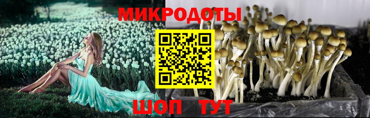 Меф МЯУ МЯУ кристаллы  КЕТАМИН  Cocaine  ГАШ  Вход с VPN  Димитровград  Конопля 