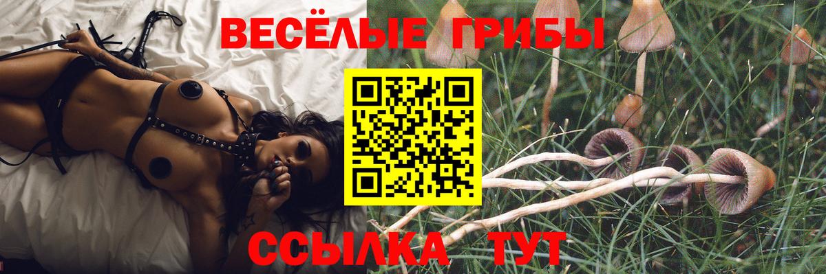 Галлюциногенные грибы мухоморы Димитровград