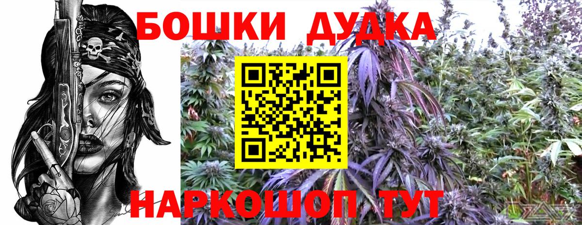 Конопля план  Шишки марихуана LSD WEED  Марихуана гибрид  Вход с VPN  Димитровград 